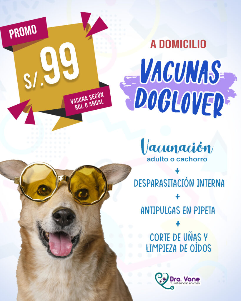 Vacunas Dog Lover vertical