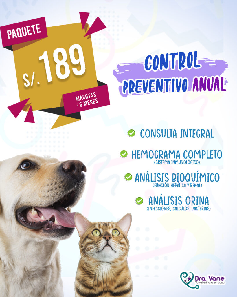 preventivo anual
