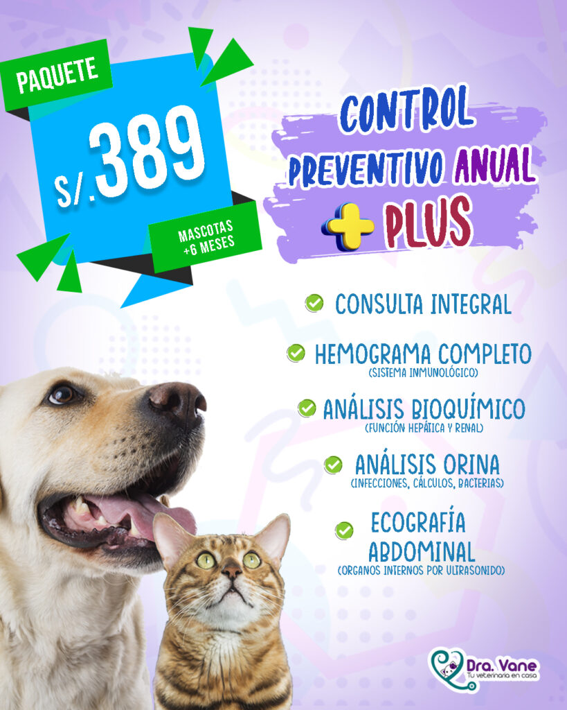 preventivo anual plus