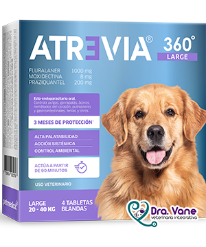 ATREVIA 360° LARGE (20 - 40 KG)