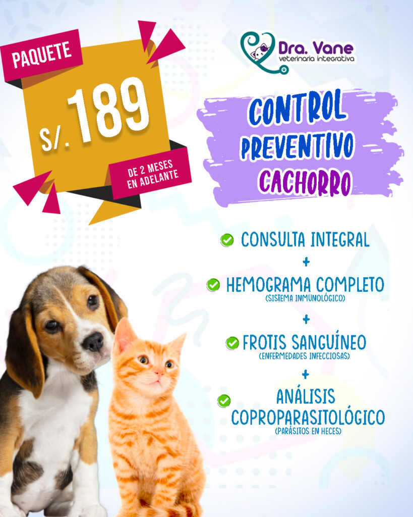 Preventivo Cachorro