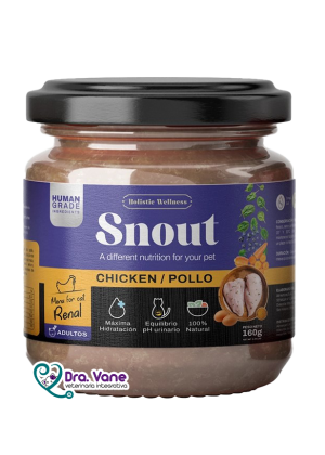 SNOUT HOLISTIC WELLNESS CHICKEN ADULT CAT