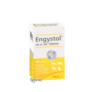 ENGYSTOL CAJA X 100 TAB