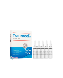 TRAUMEEL LT X 1 AMPOLLA