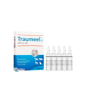 TRAUMEEL LT X 1 AMPOLLA