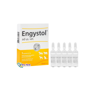 ENGYSTOL AD X 1 AMPOLLA