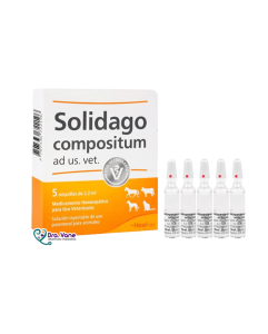 SOLIDAGO COMPOSITUM X 1 AMPOLLA